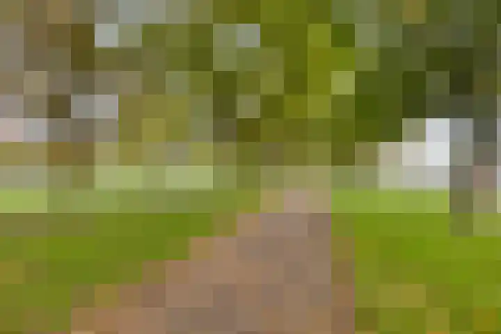 Hulkesteinstraat 17 Nijmegen thumbnail 24