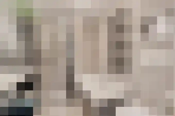 Hulkesteinstraat 17 Nijmegen thumbnail 26