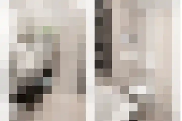 Hulkesteinstraat 17 Nijmegen thumbnail 27