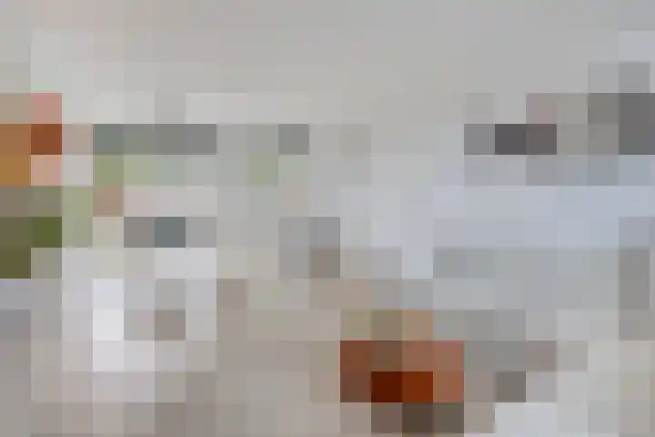 Hulkesteinstraat 17 Nijmegen thumbnail 7