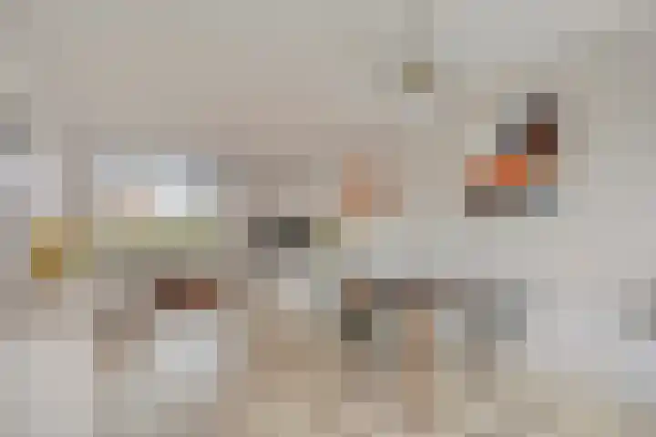Hulkesteinstraat 17 Nijmegen thumbnail 9