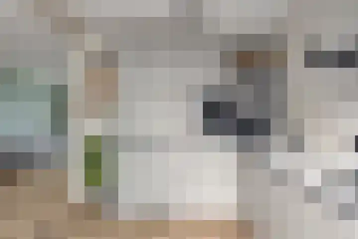 Hulkesteinstraat 3 Nijmegen thumbnail 10