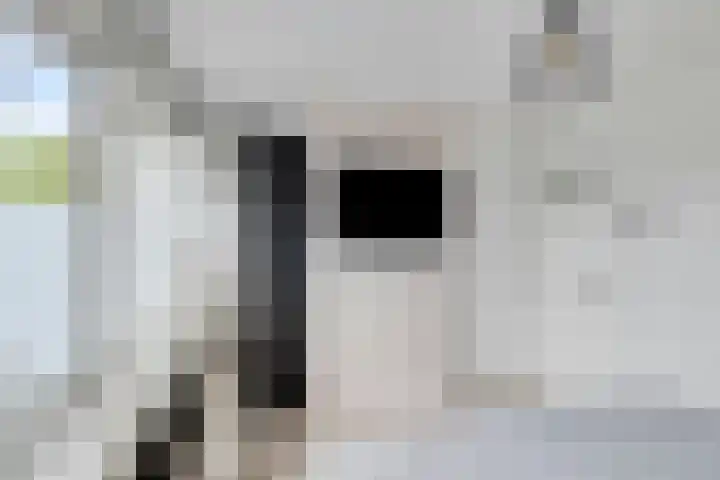 Hulkesteinstraat 3 Nijmegen thumbnail 15