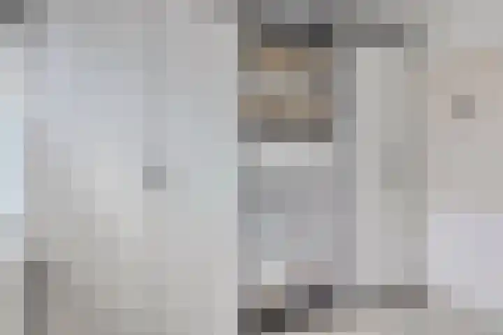 Hulkesteinstraat 3 Nijmegen thumbnail 17