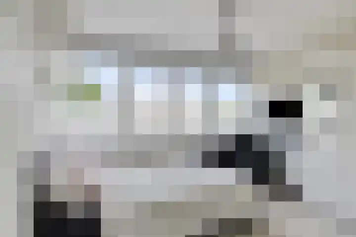 Hulkesteinstraat 3 Nijmegen thumbnail 18