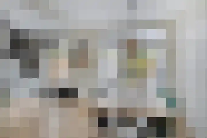 Hulkesteinstraat 3 Nijmegen thumbnail 8