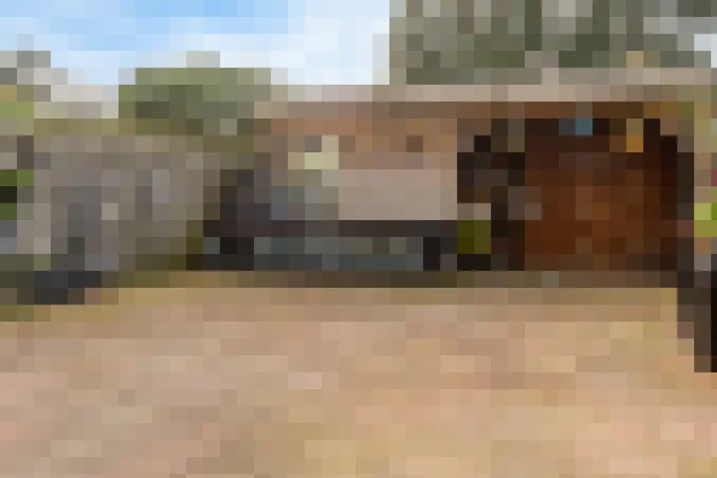 Hulkstraat 119 Den Helder thumbnail 34