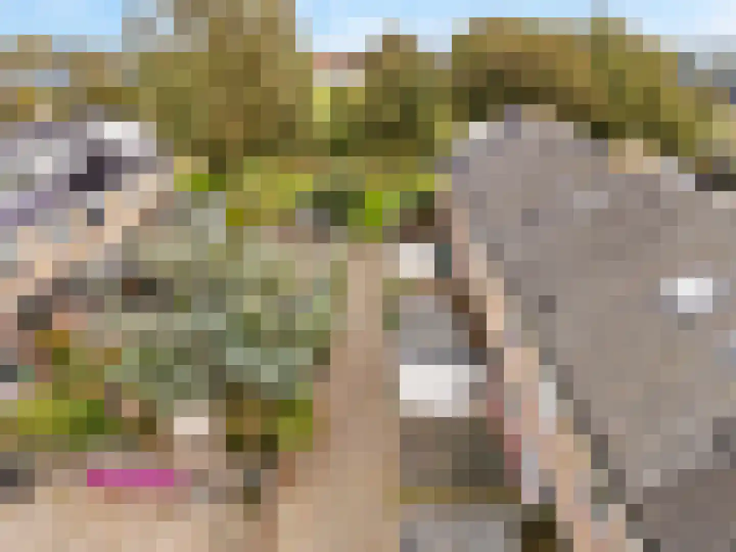 Hulkstraat 119 Den Helder thumbnail 4