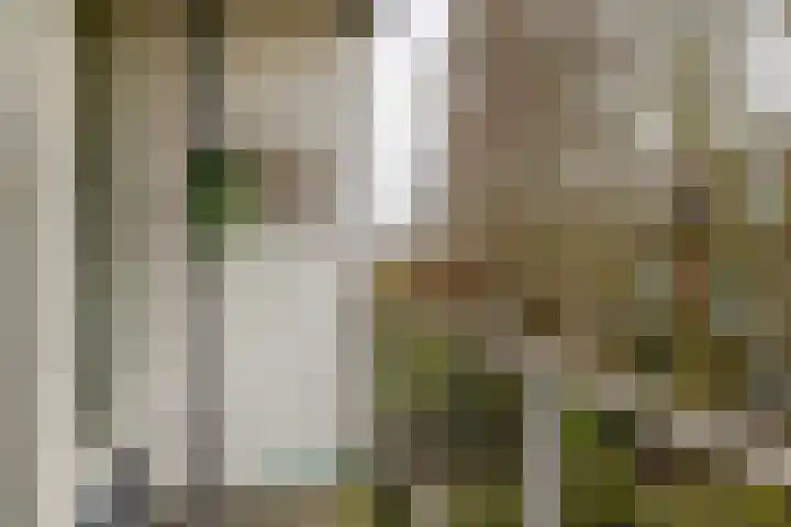 Hulkstraat 14 A Rotterdam thumbnail 23