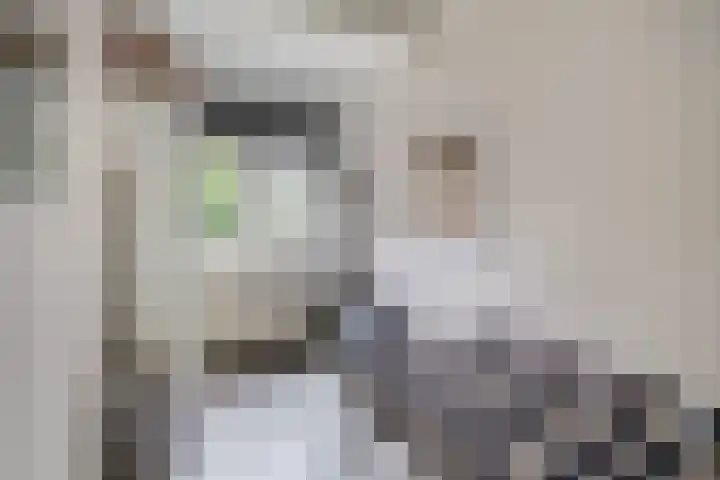 Hulkstraat 14 A Rotterdam thumbnail 30