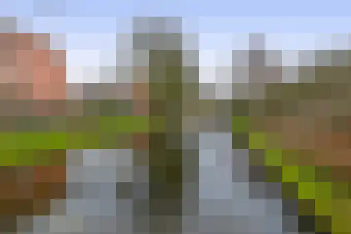 Hulkstraat 14 A Rotterdam thumbnail 5