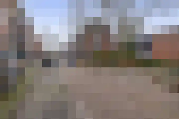 Hulkstraat 14 A Rotterdam thumbnail 8
