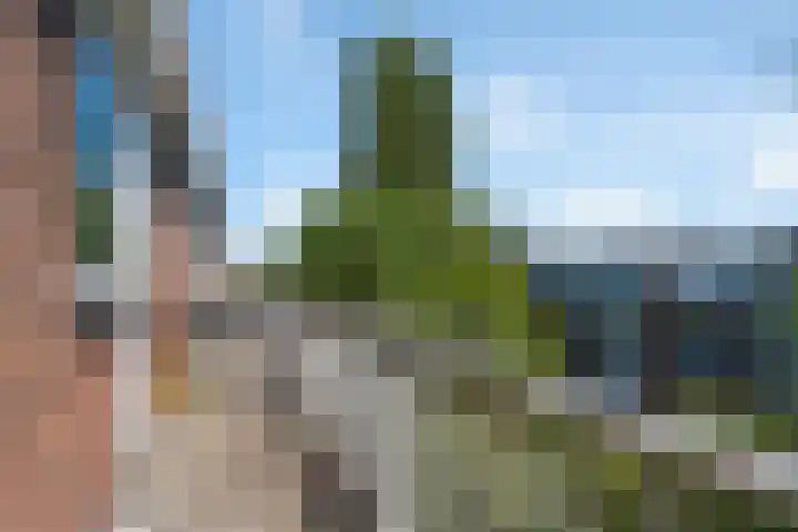 Hulkstraat 20 B Rotterdam thumbnail 14