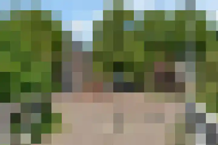 Hulkstraat 20 B Rotterdam thumbnail 21