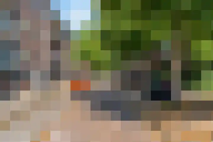 Hulkstraat 20 B Rotterdam thumbnail 24