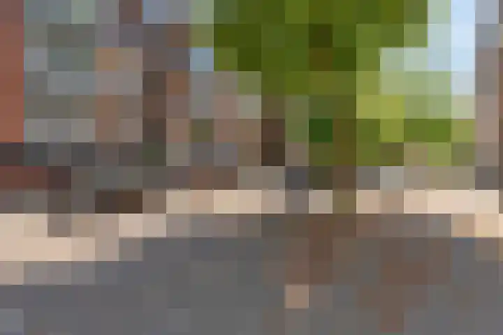 Hulkstraat 20 B Rotterdam thumbnail 25