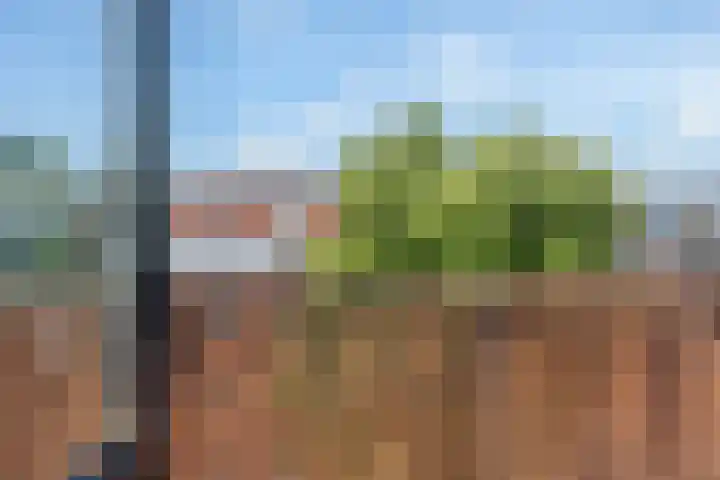 Hulkstraat 20 B Rotterdam thumbnail 8