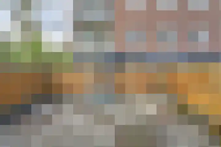 Hulkstraat 24 B Rotterdam thumbnail 25