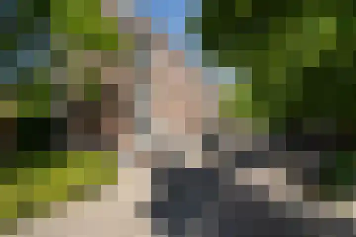 Hulkstraat 25 D in Rotterdam