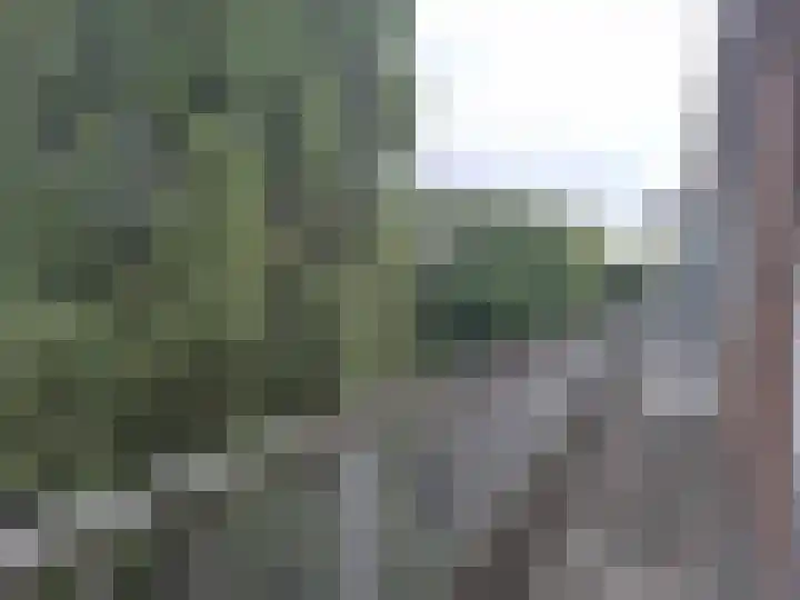 Hulkstraat 6 C Rotterdam thumbnail 8