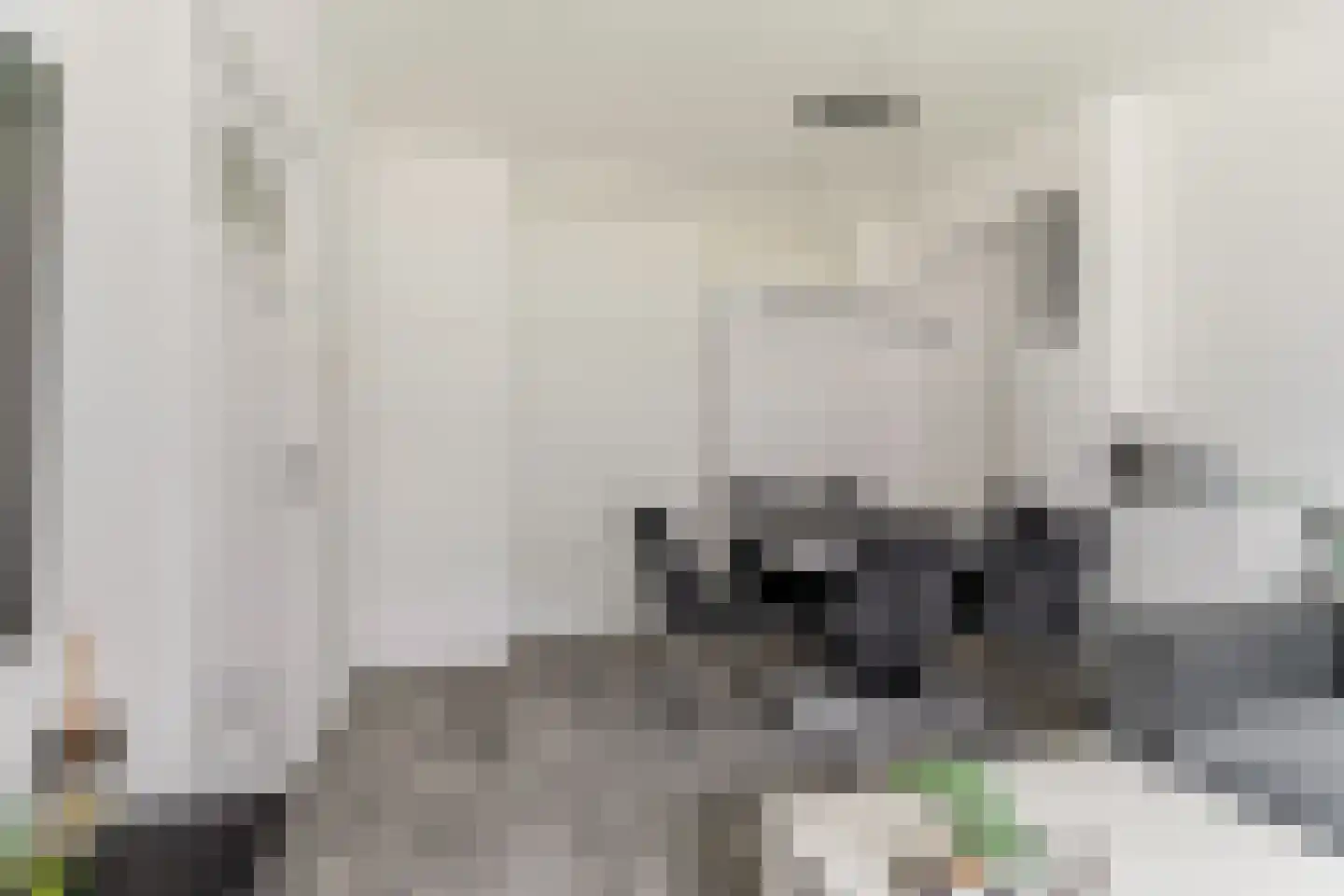 Hulkstraat 7 A Rotterdam thumbnail 11