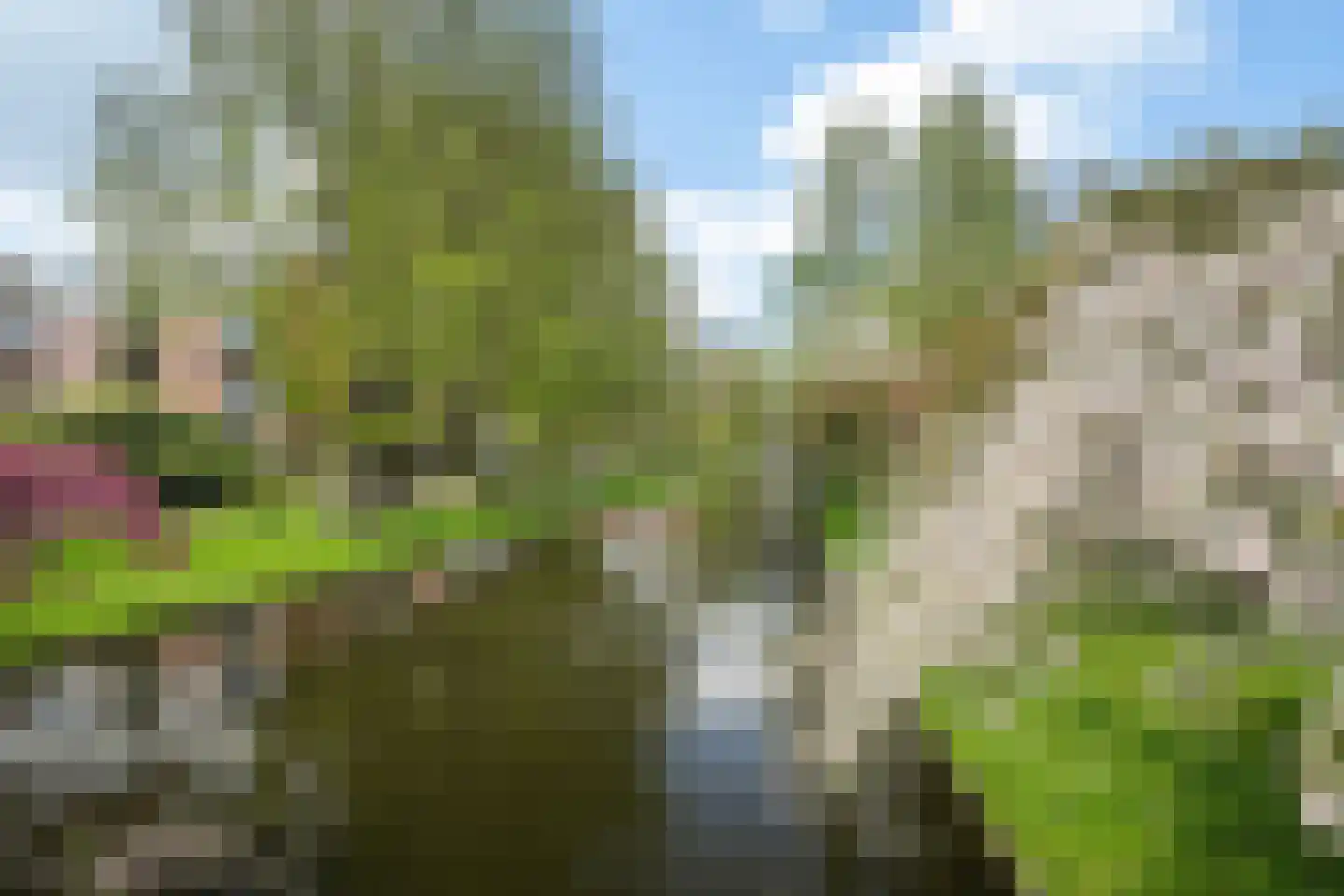 Hulkstraat 7 A Rotterdam thumbnail 19