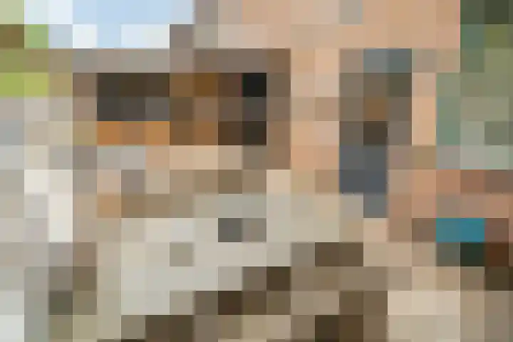 Hulkwerf 18 Zoetermeer thumbnail 12