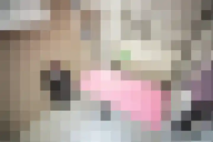 Hulkwerf 18 Zoetermeer thumbnail 13