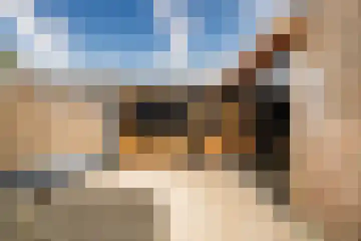 Hulkwerf 18 Zoetermeer thumbnail 15