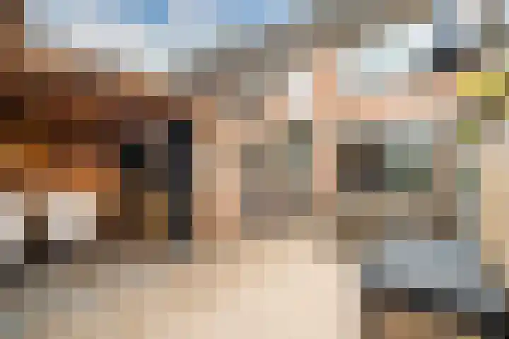 Hulkwerf 18 Zoetermeer thumbnail 16