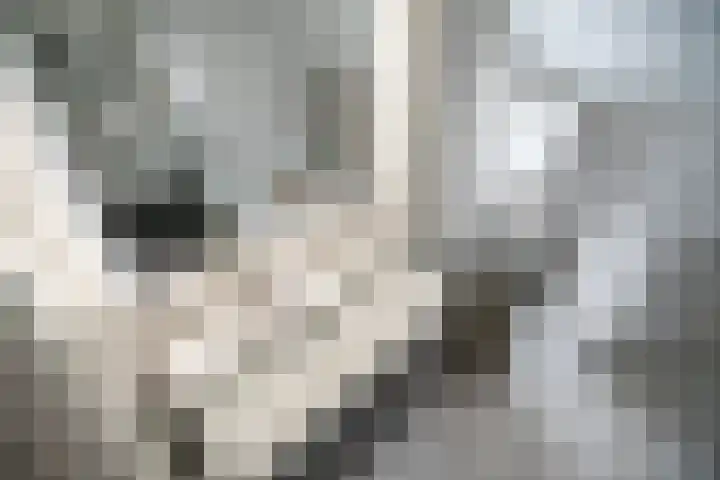 Hulkwerf 18 Zoetermeer thumbnail 28