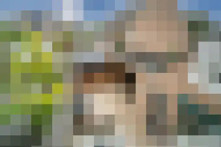 Hulkwerf 18 Zoetermeer thumbnail 33