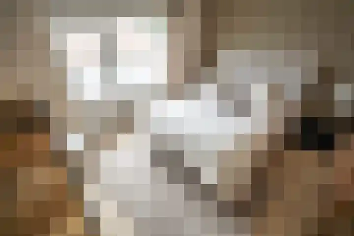Hulkwerf 18 Zoetermeer thumbnail 35