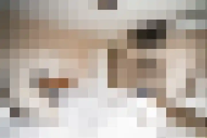 Hulkwerf 18 Zoetermeer thumbnail 38
