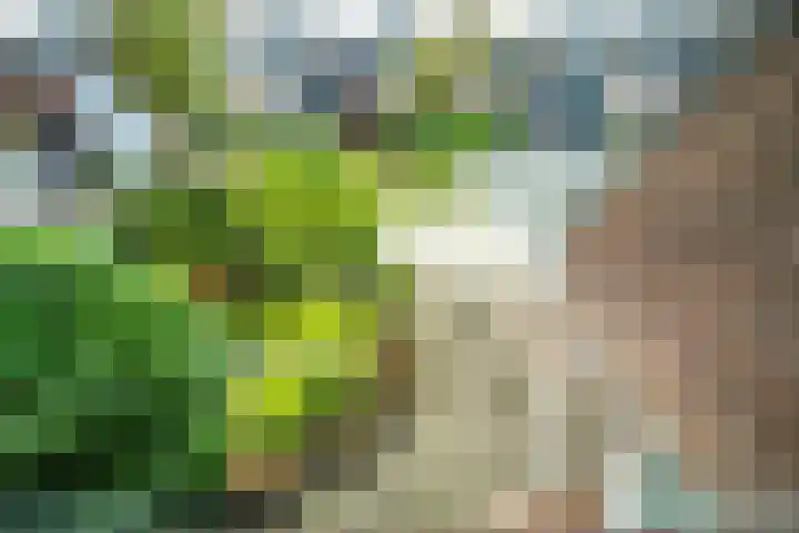 Hulkwerf 18 Zoetermeer thumbnail 40