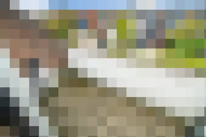 Hulkwerf 18 Zoetermeer thumbnail 46