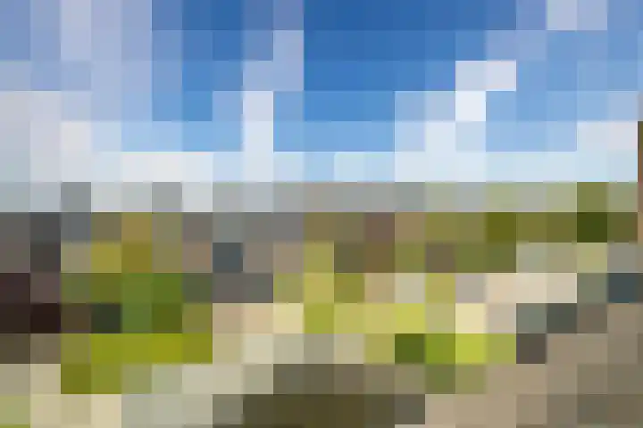 Hulkwerf 18 Zoetermeer thumbnail 48