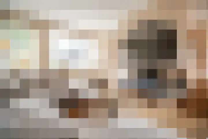 Hulkwerf 18 Zoetermeer thumbnail 5