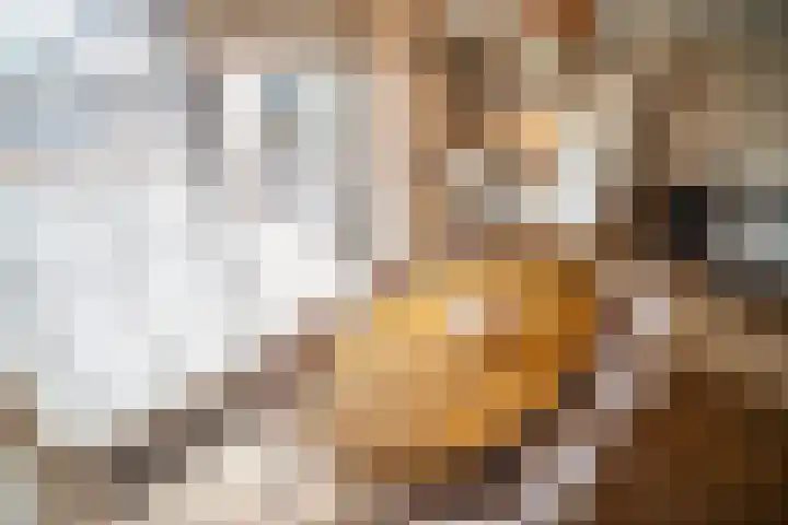 Hulkwerf 18 Zoetermeer thumbnail 6