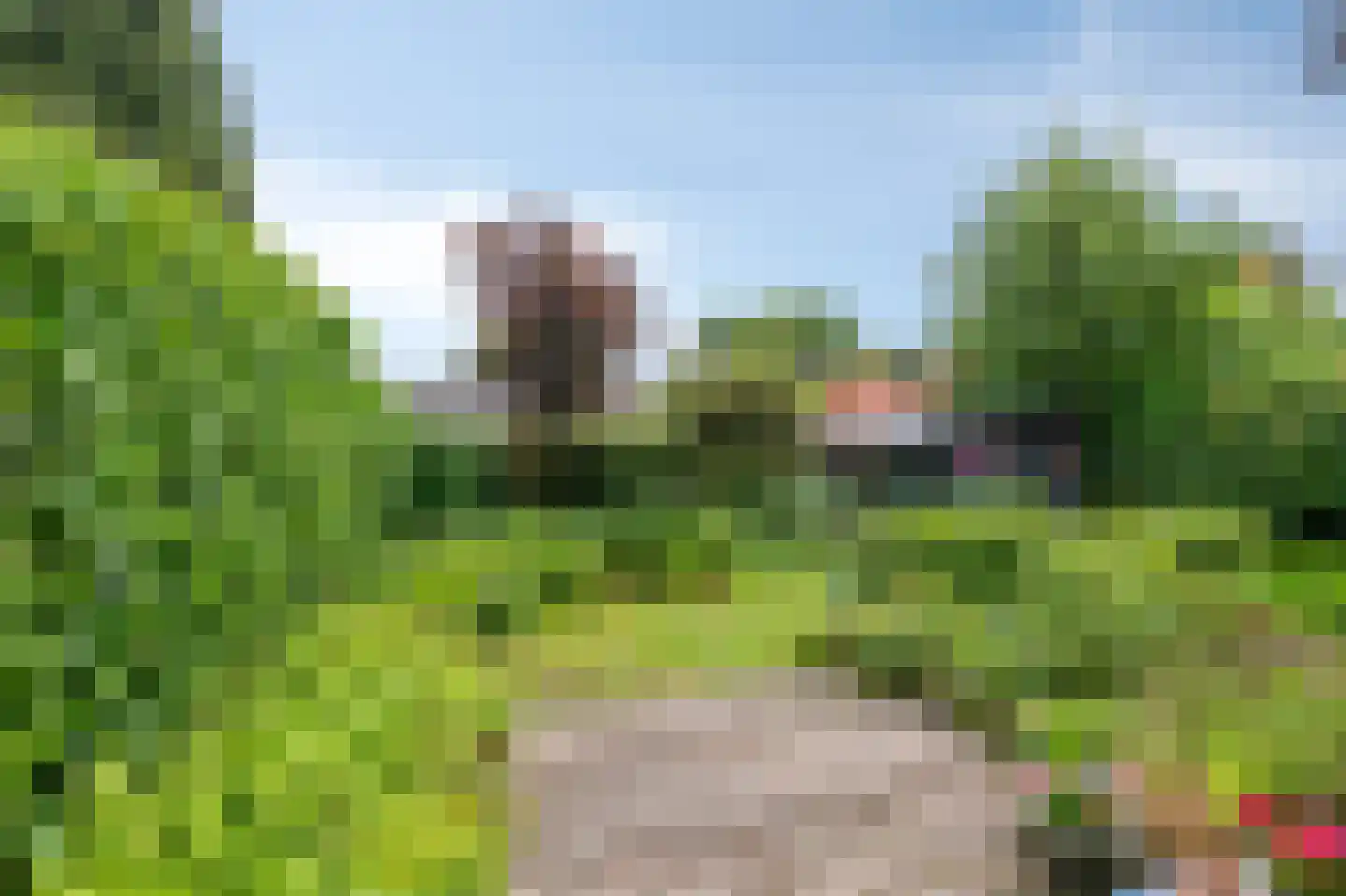 Hullekesbergseweg 10 De Steeg thumbnail 30