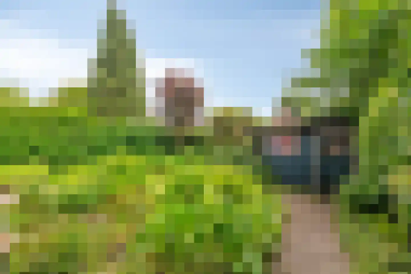 Hullekesbergseweg 10 De Steeg thumbnail 31