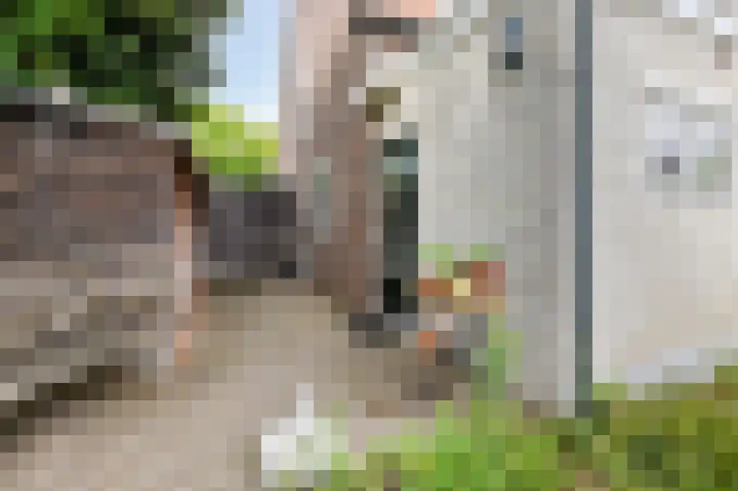 Hullekesbergseweg 10 De Steeg thumbnail 34