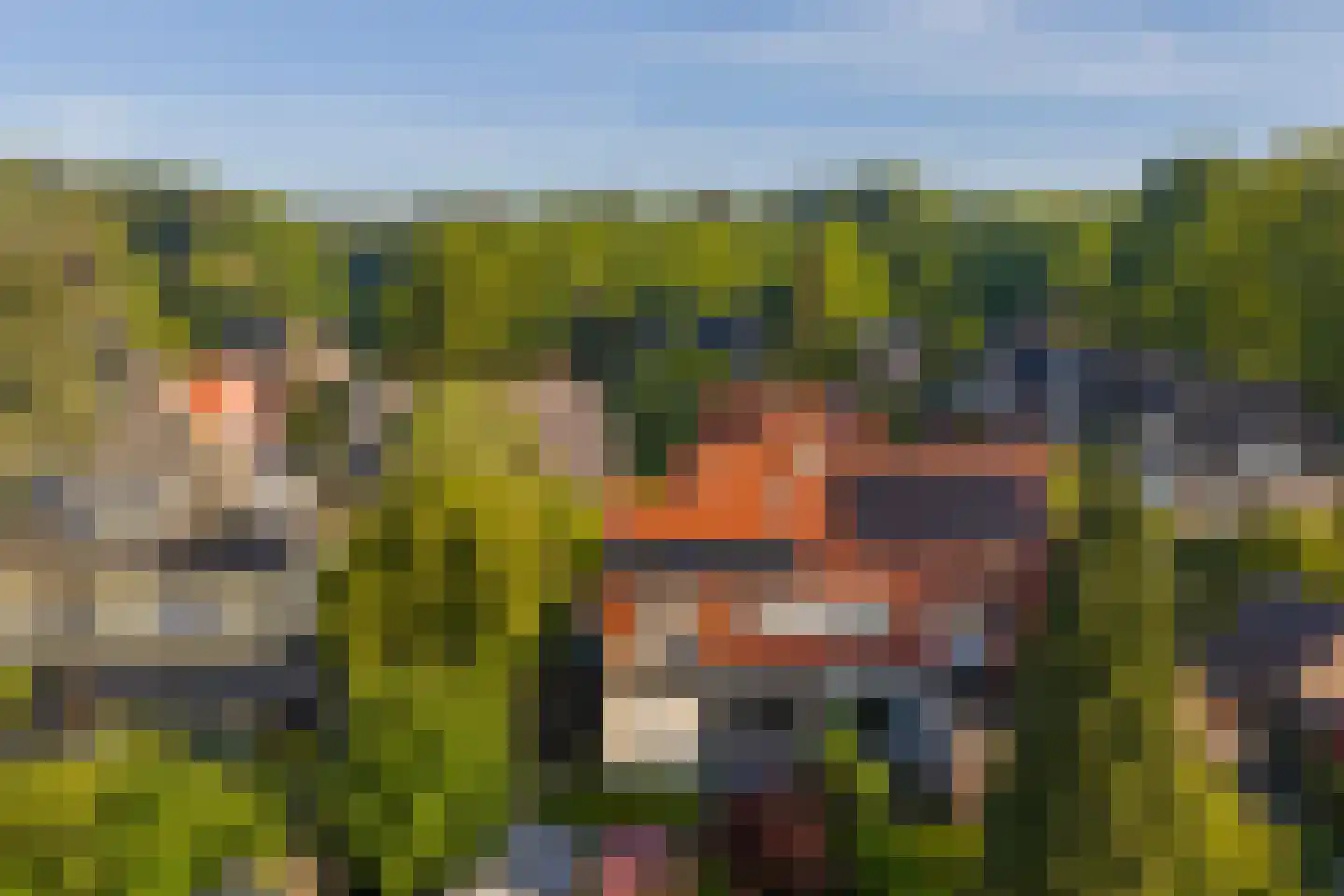 Hullekesbergseweg 10 De Steeg thumbnail 38