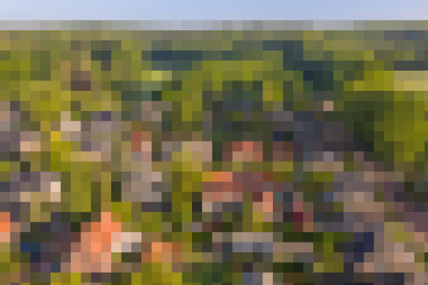 Hullekesbergseweg 10 De Steeg thumbnail 39