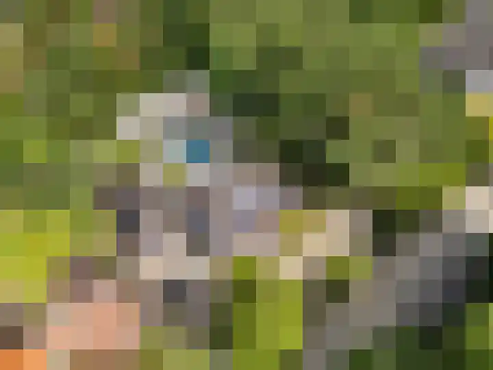 Hullenberglaan 9 Bennekom thumbnail 11