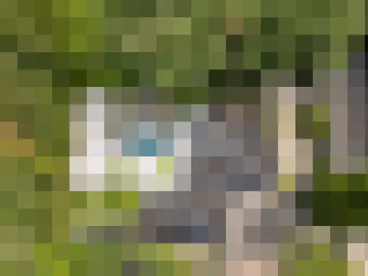 Hullenberglaan 9 Bennekom thumbnail 12