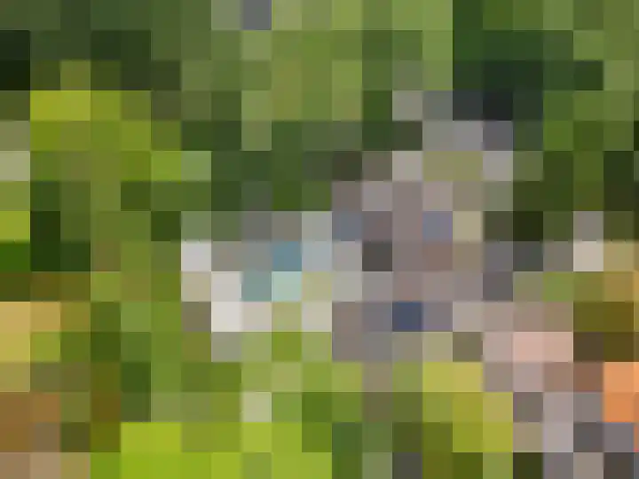 Hullenberglaan 9 Bennekom thumbnail 13
