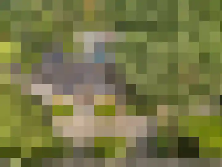 Hullenberglaan 9 Bennekom thumbnail 15