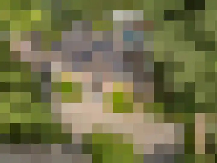 Hullenberglaan 9 Bennekom thumbnail 16