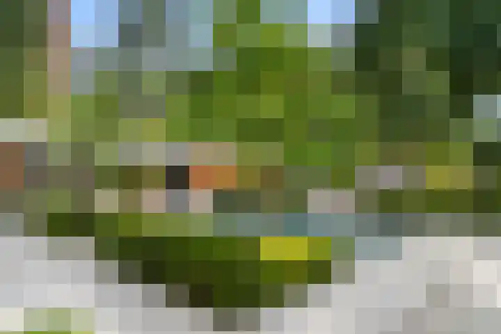 Hullenberglaan 9 Bennekom thumbnail 34